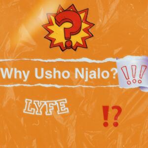 收聽Lyfe的Why Usho Njalo歌詞歌曲