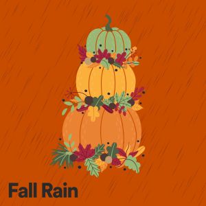 Album Fall Rain from Rain for Deep Sleep