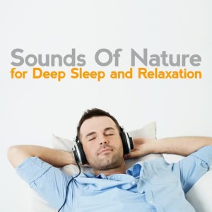 收聽Sounds of Nature for Deep Sleep and Relaxation的Wood Song歌詞歌曲