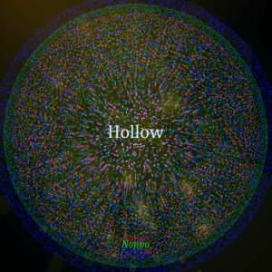 Dengarkan lagu Hollow nyanyian Noppo dengan lirik
