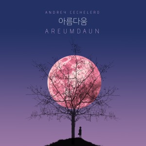 Andrey Cechelero的專輯Areumdaun