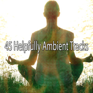 Album 45 Helpfully Ambient Tracks oleh Yoga