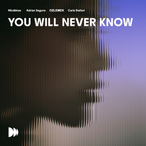 Album You Will Never Know from Mindblow