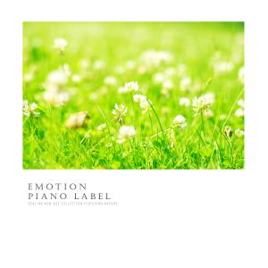 收听SarangSori的I Knock Your Heart Nature Version歌词歌曲