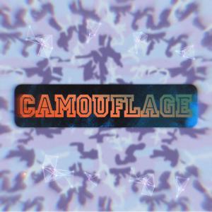 Camouflage (Explicit)