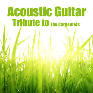 ดาวน์โหลดและฟังเพลง Close to You พร้อมเนื้อเพลงจาก Acoustic Guitar Tribute Players