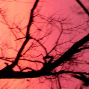 ดาวน์โหลดและฟังเพลง february พร้อมเนื้อเพลงจาก Joshiguess