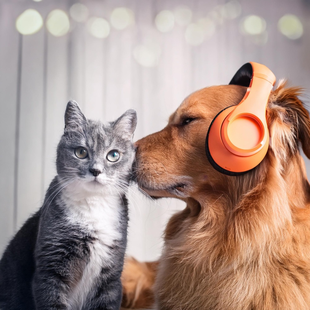 Furry Friend Tunes