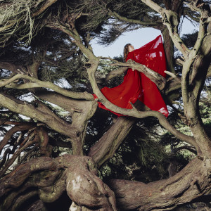 อัลบัม Life's Work ศิลปิน Hannah Frances