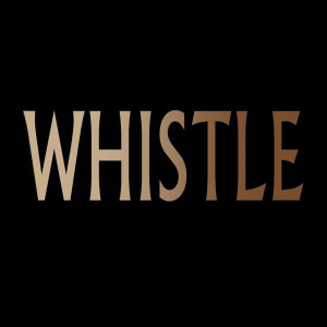 ดาวน์โหลดและฟังเพลง Whistle (Explicit) พร้อมเนื้อเพลงจาก Can You Blow My Whistle Baby