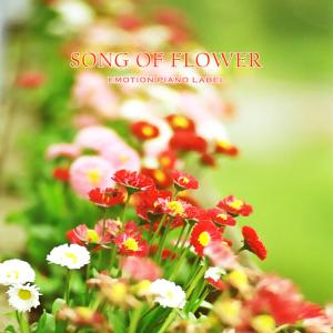 Album Song of Flower from Love Potion