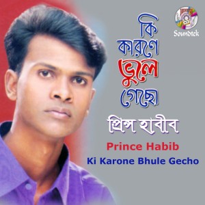 Listen to Eto Boro Prithibi song with lyrics from Prince Habib