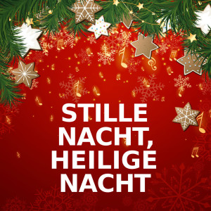 ดาวน์โหลดและฟังเพลง Stille Nacht, heilige Nacht (Brass Version) พร้อมเนื้อเพลงจาก Stille Nacht, heilige Nacht
