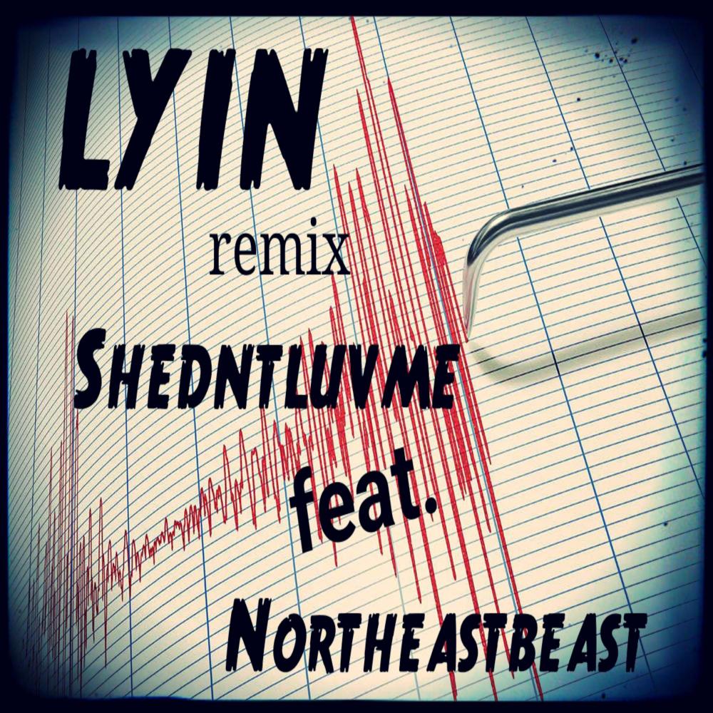 Lyin (feat. Shedntluvme) (Explicit)