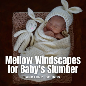 Album Ambient Sounds: Mellow Windscapes for Baby's Slumber oleh Baby Shusher