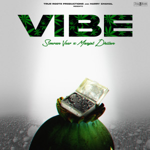 收聽Simran Veer的Vibe歌詞歌曲