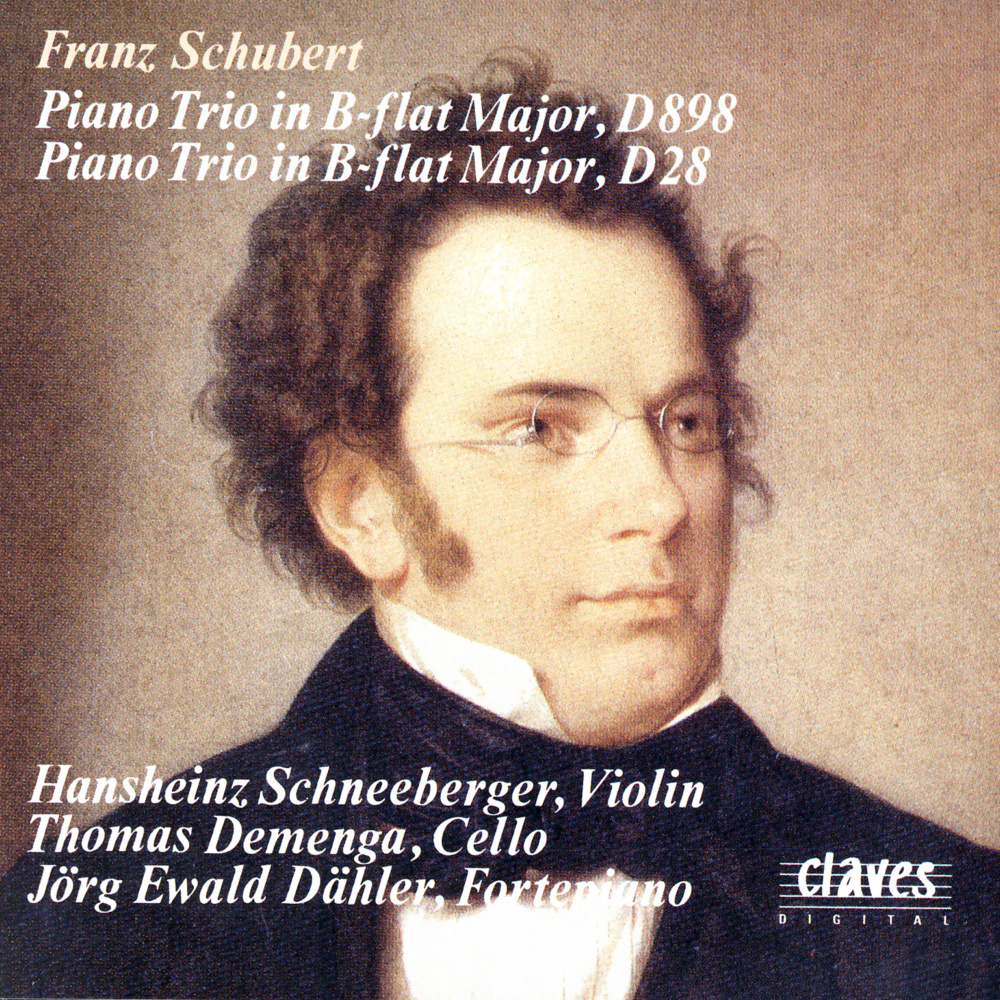 Piano Trio in B-Flat Major, D. 28: I. Allegro