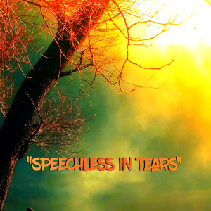 Album Speechless In Tears oleh Benq melow