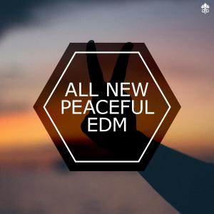 Various Artists的專輯All New Peaceful EDM