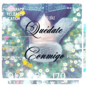 ดาวน์โหลดและฟังเพลง quédate conmigo พร้อมเนื้อเพลงจาก Duro