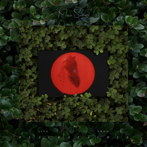 Album In Bloom (in the woods) from Moses Sumney