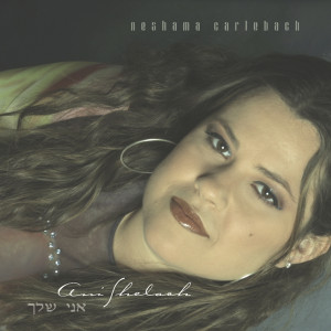 ดาวน์โหลดและฟังเพลง Avi พร้อมเนื้อเพลงจาก Neshama Carebach