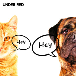 ดาวน์โหลดและฟังเพลง Hey, Hey พร้อมเนื้อเพลงจาก Under Red