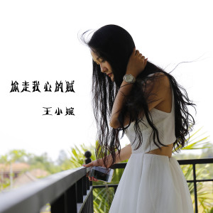 Listen to 偷走我心的贼 (伴奏) song with lyrics from 王小婉