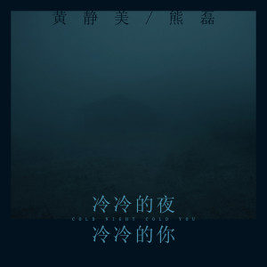 收聽黃靜美的冷冷的夜 冷冷的你歌詞歌曲