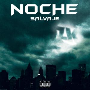 ดาวน์โหลดและฟังเพลง Noche Salvaje (feat. Monster) (Explicit) พร้อมเนื้อเพลงจาก Zke