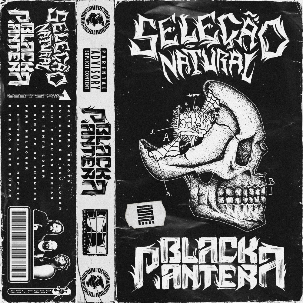 Seleção Natural (Explicit)