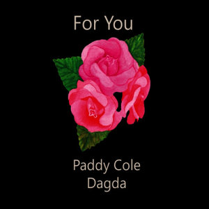 ดาวน์โหลดและฟังเพลง For You พร้อมเนื้อเพลงจาก Paddy Cole