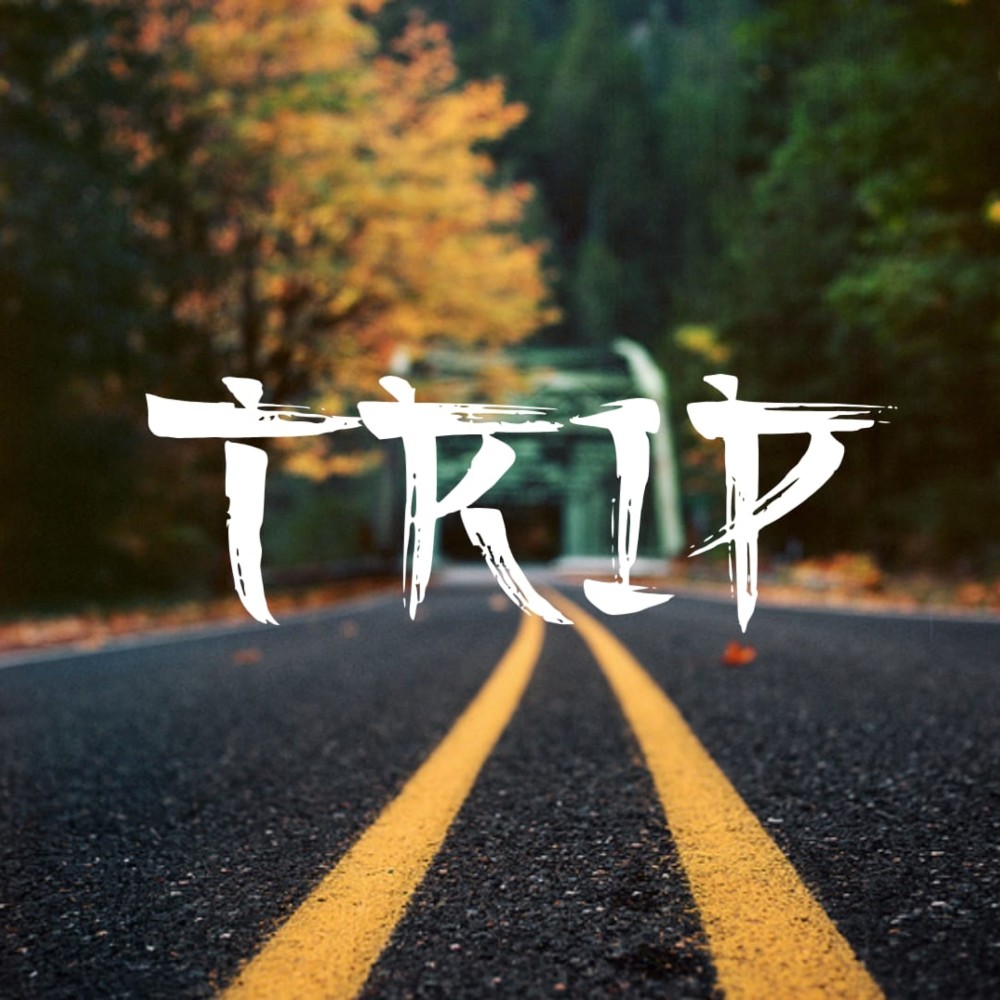 Trip