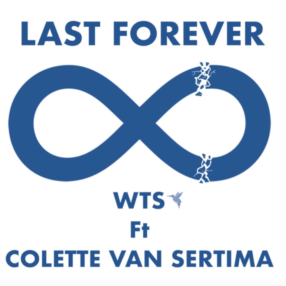 Last Forever (Soblu Remix)