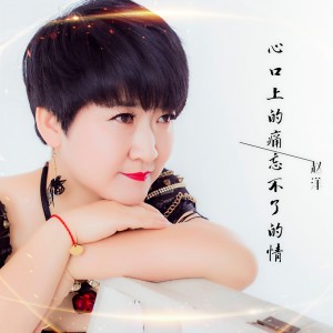 收聽趙洋的心口上的痛忘不了的情（DJ默涵舞曲版） (完整版)歌詞歌曲