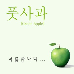 ดาวน์โหลดและฟังเพลง 너를 만나다(Inst.) พร้อมเนื้อเพลงจาก Unripe apples