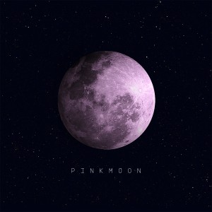 Listen to Pink Moon song with lyrics from Hooverfield