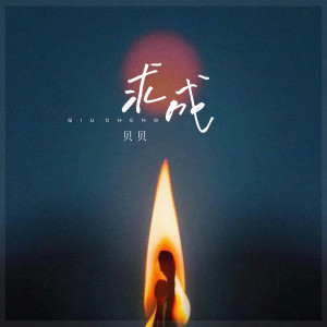 Album 求成 from 贝贝