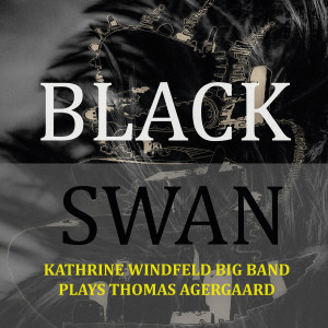 ดาวน์โหลดและฟังเพลง Black Swan พร้อมเนื้อเพลงจาก Thomas Agergaard