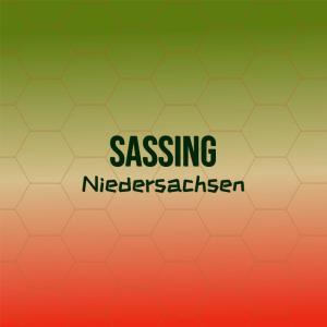 Various的专辑Sassing Niedersachsen