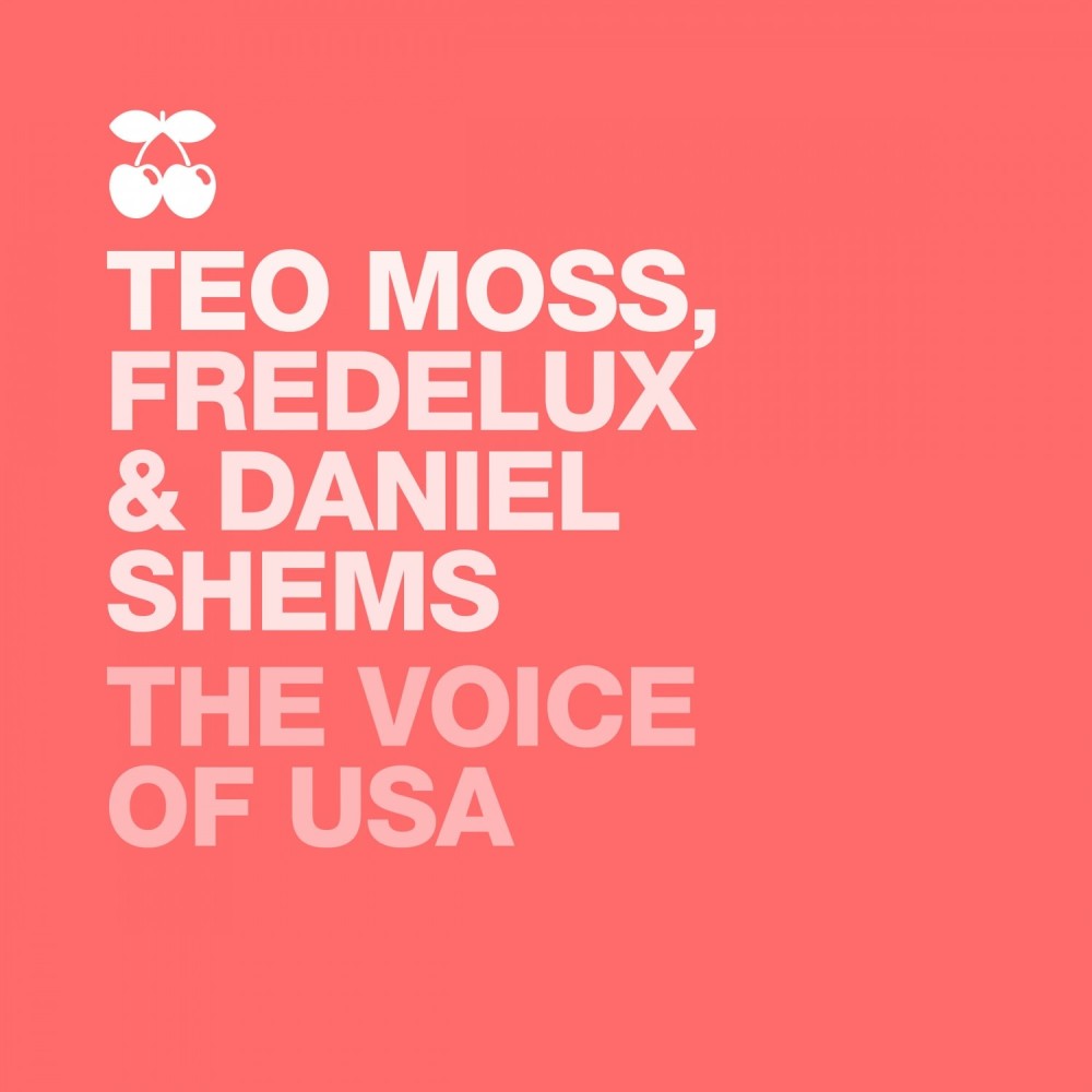 The Voice of the USA (Yes We Dub Def Mix)