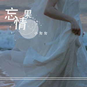 收听小匆匆的忘情果 (女声版)歌词歌曲