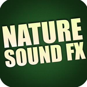 收聽Royalty Free Sound Effects Factory的Relaxing Wind Meditation Sound Effects歌詞歌曲