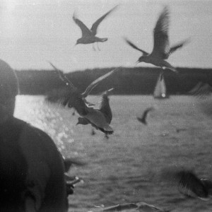 ดาวน์โหลดและฟังเพลง this is why พร้อมเนื้อเพลงจาก METAHESH