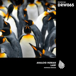 Analog Human的專輯Lairf (Mutehead Remixes)