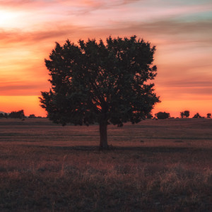 收聽Relaxing Music的Whispers歌詞歌曲