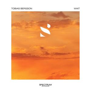 อัลบัม Wait ศิลปิน Tobias Bergson