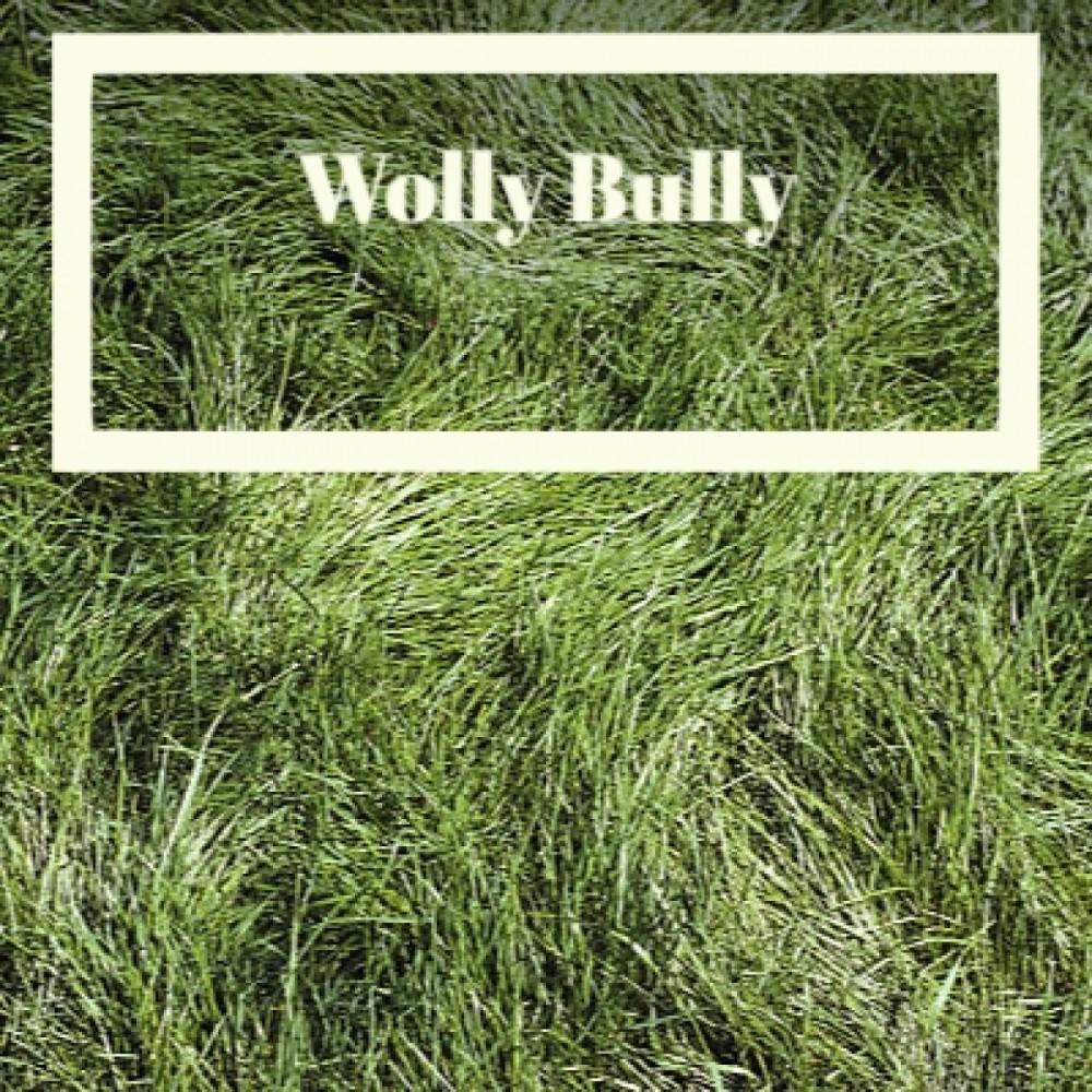 Wolly Bully