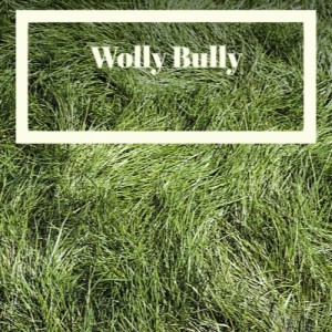 收聽Freddy Fender的Wolly Bully歌詞歌曲