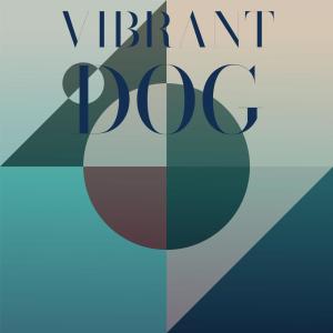 Various Artists的專輯Vibrant Dog